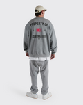 Property of tracksuit bundle set